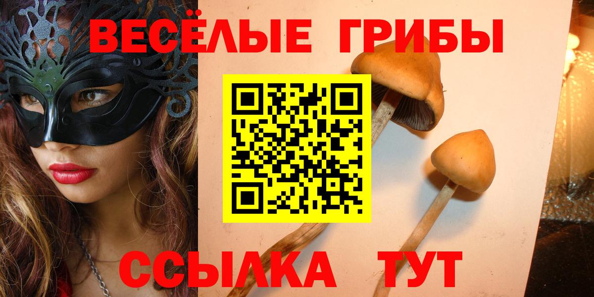 Псилоцибиновые грибы Psilocybe  Вход с VPN  Тула 