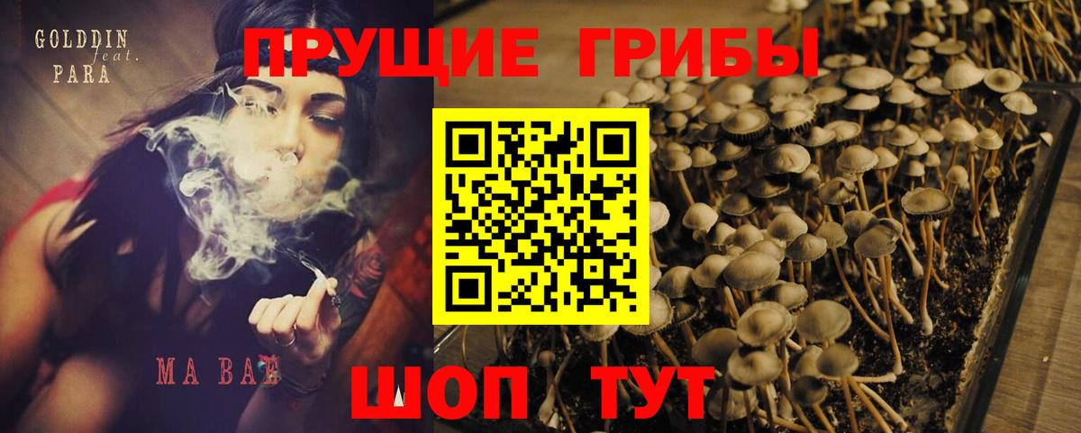 Галлюциногенные грибы Magic Shrooms Тула